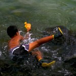 Boy catches yellow tang fish Puuhonua o Honaunau