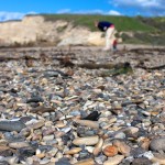 Rocky beach at Montana de Oro State Park