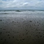 Oregon Beach