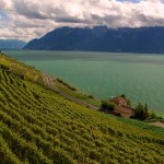 vineyards overlooking Lake Geneva