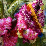 lei on Duke Kahanamoku statue Waikiki