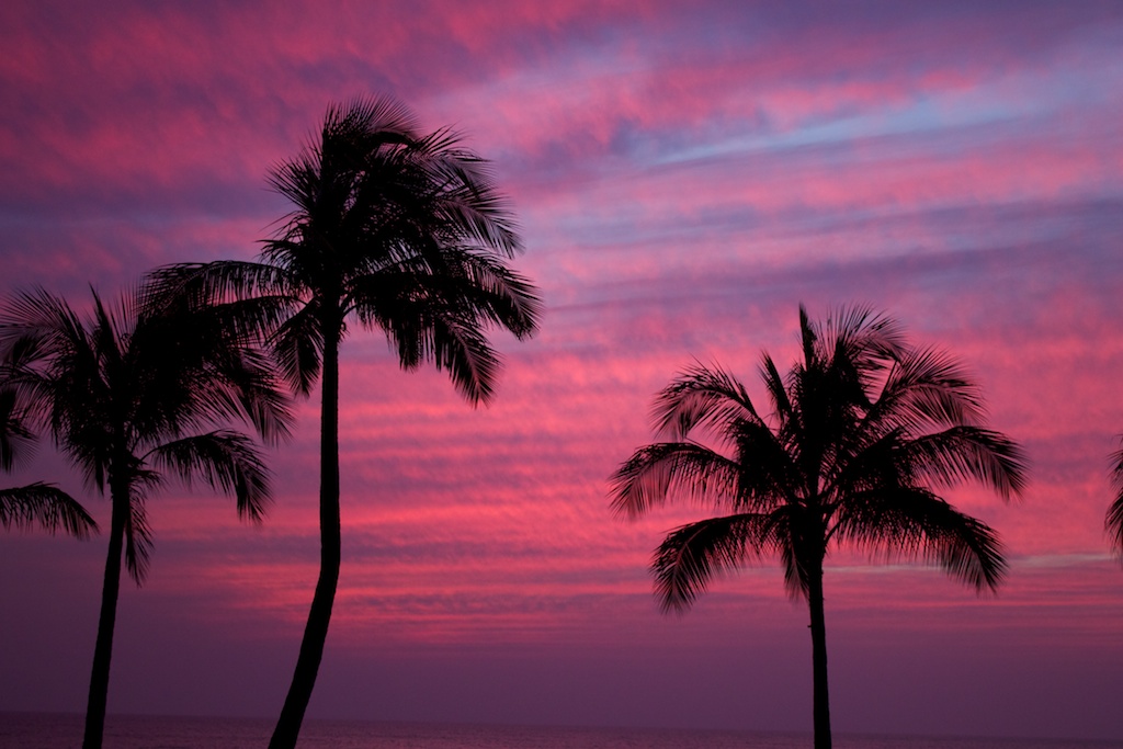 palm trees and sunset in Ko Olina