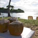 tropical drinks in coconuts on beach
