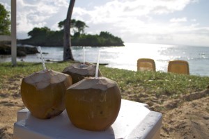 tropical drinks in coconuts on beach