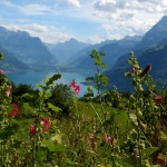 Lake Luzern view