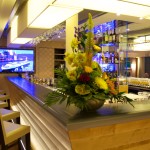 danube viking river cruise
