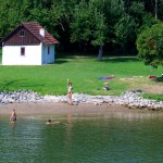 danube viking river cruise