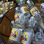 germany schnapps