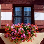 Bavarian window with flowers
