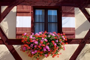 Bavarian window with flowers