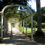 jardim Botanico, Rio de Janeiro