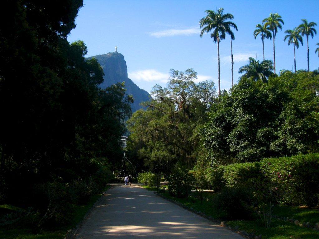 Rio botanical garden