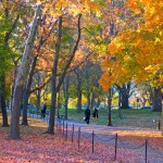 National Mall fall