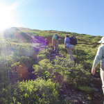 Denali hiking