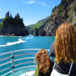 Kenai Fjords Tours