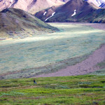Denali Hiking