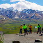 Denali mountain bikers