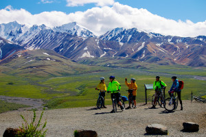 Denali mountain bikers