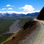 Denali Park Road