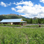 Denali train depot