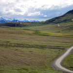 Denali Park Road