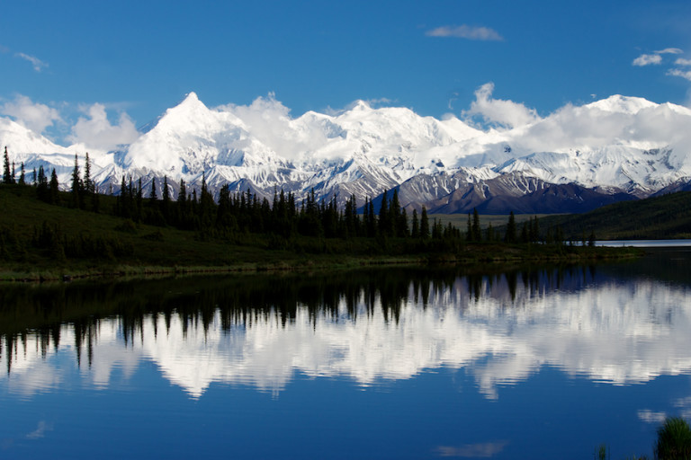 Spot the Alaskan Big Five in Denali National Park | Jess Moss Travel