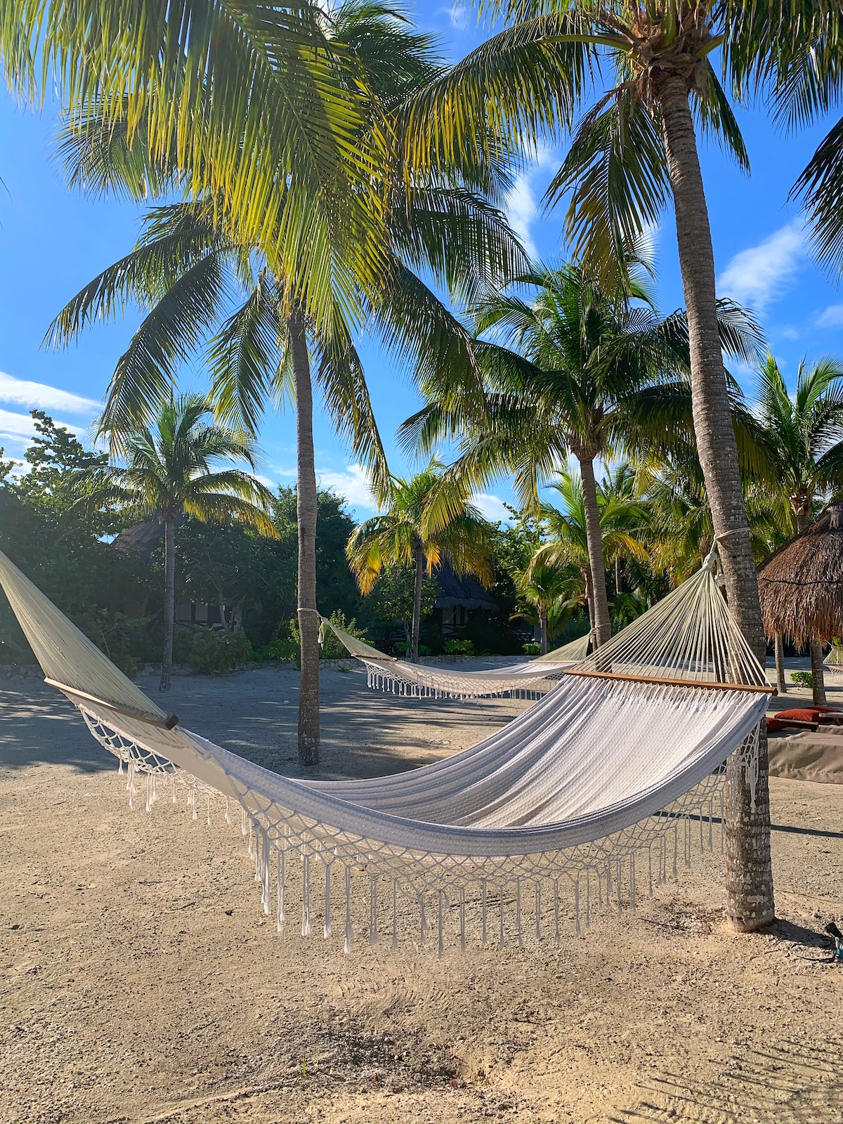 A Photo Tour Of Holbox, Mexico 